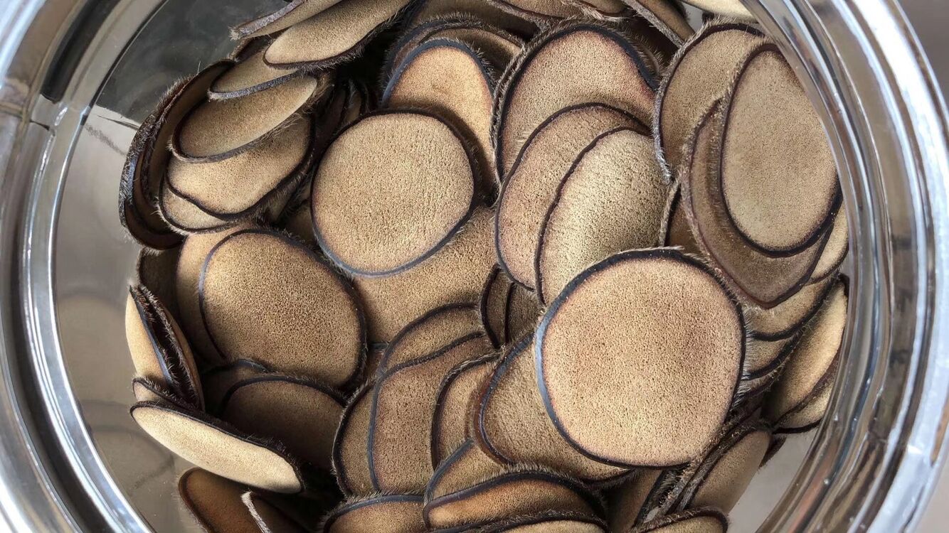 鹿茸多少钱一斤鹿茸怎么食用!