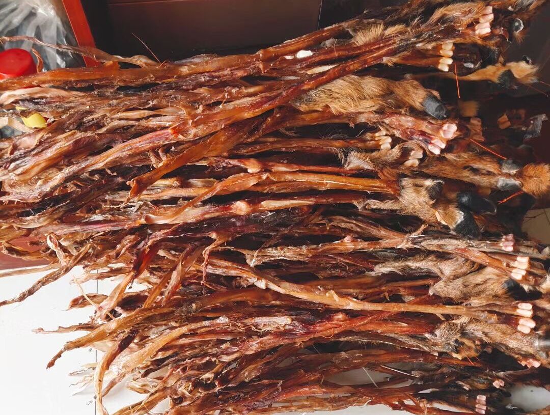 老年人骨质疏松吃梅花鹿鹿筋可以强筋健骨!