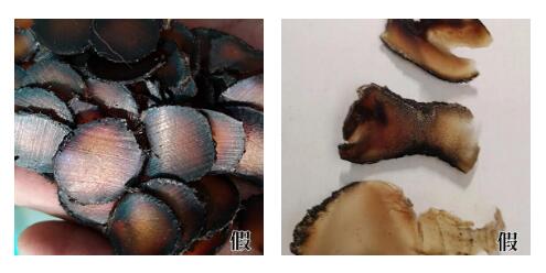 如何鉴别真假鹿茸及鹿茸片？假鹿茸片是什么做的！