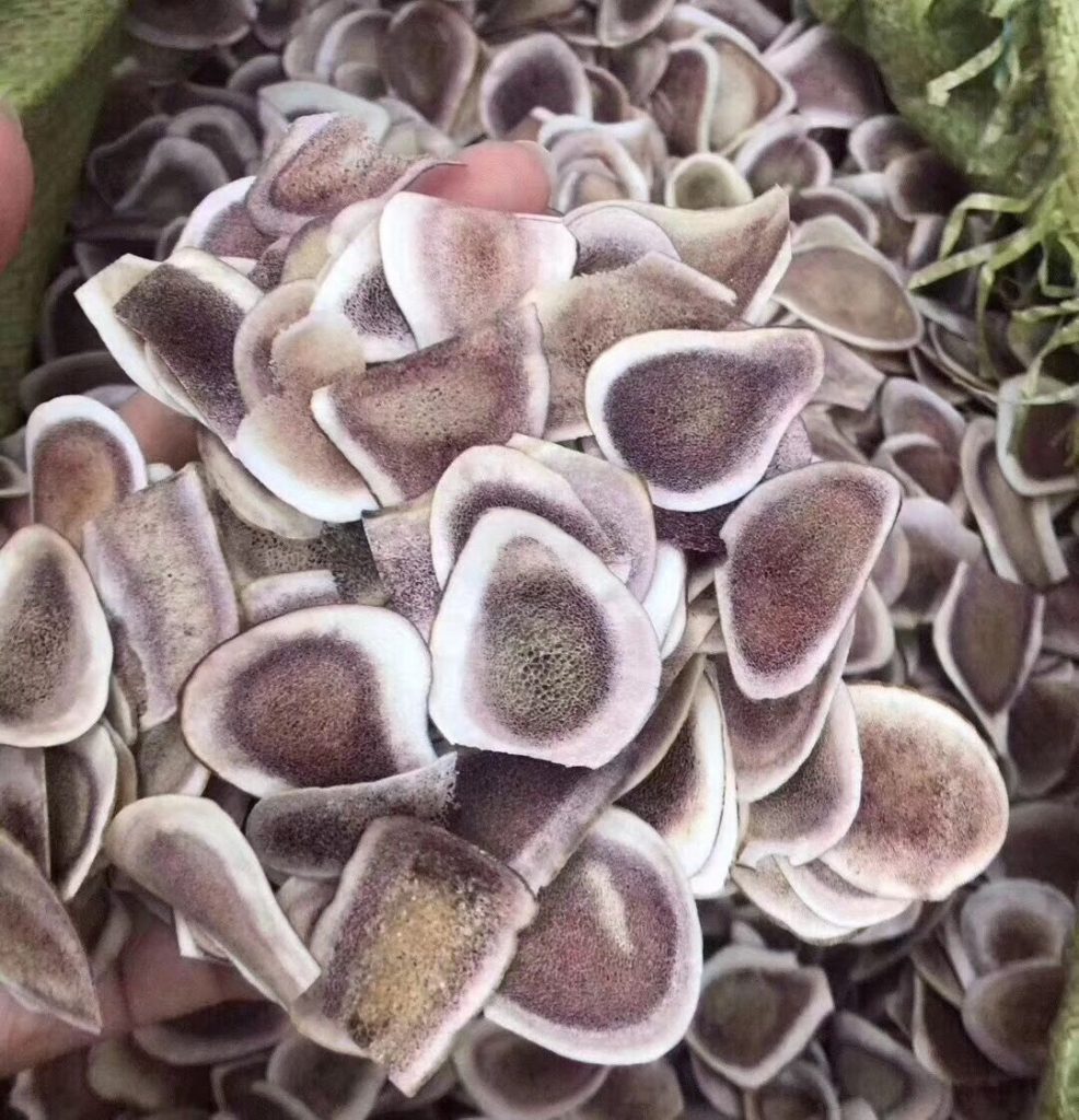 鹿角价格