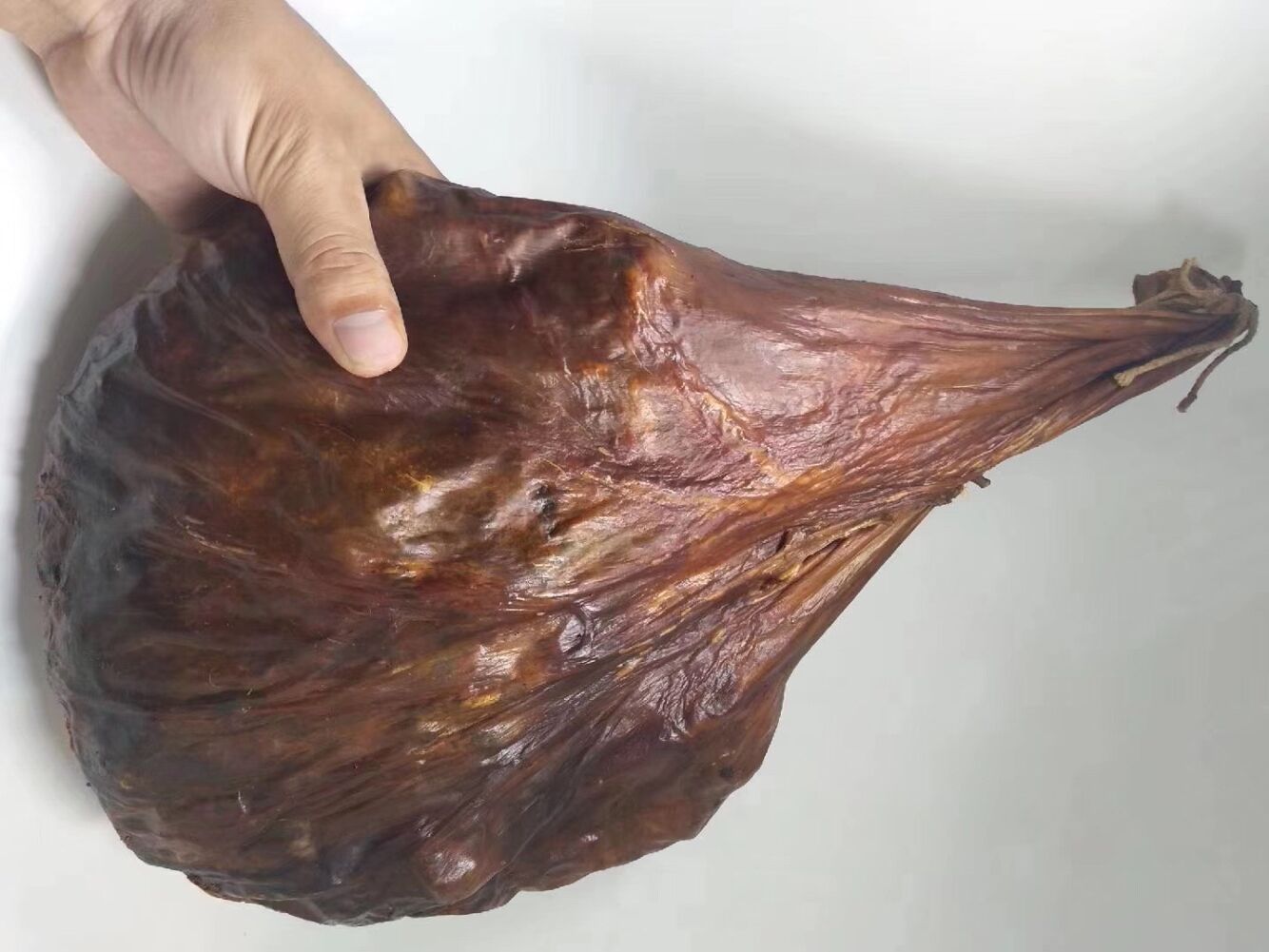 一个真鹿胎多少钱?鹿胎多大?