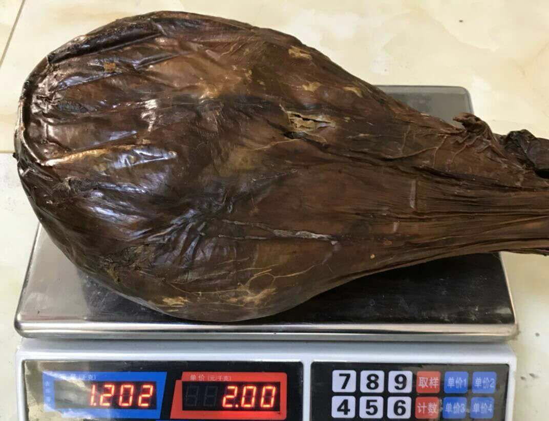 滋补卵巢干鹿胎的功效作用及介绍!