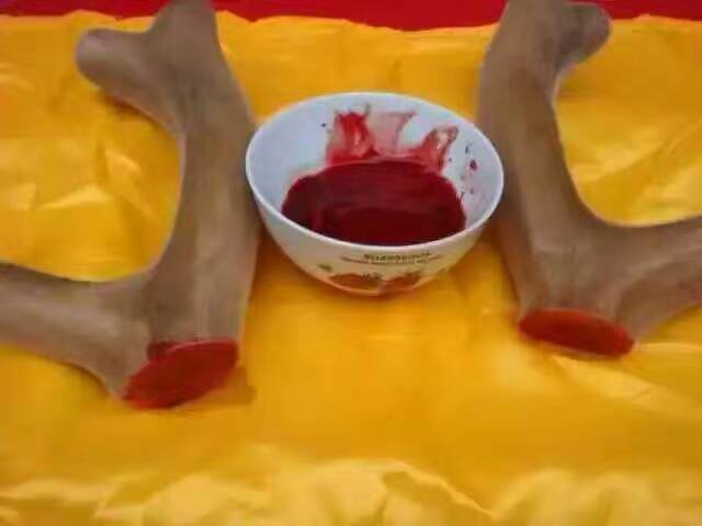 鹿茸血酒怎么补虚,分享给有需要的人!