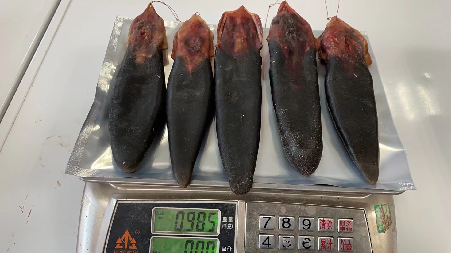 鹿尾鹿鞭泡酒方法!