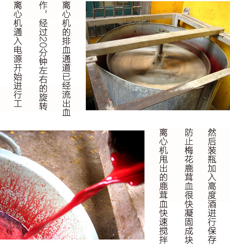 哪里有卖干鹿胎的