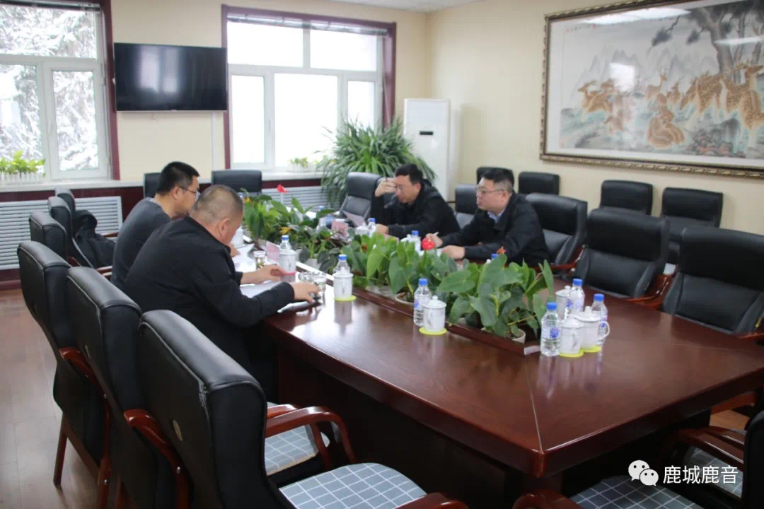 双阳区政协主席史延文带队来鹿乡镇调研全域旅游工作