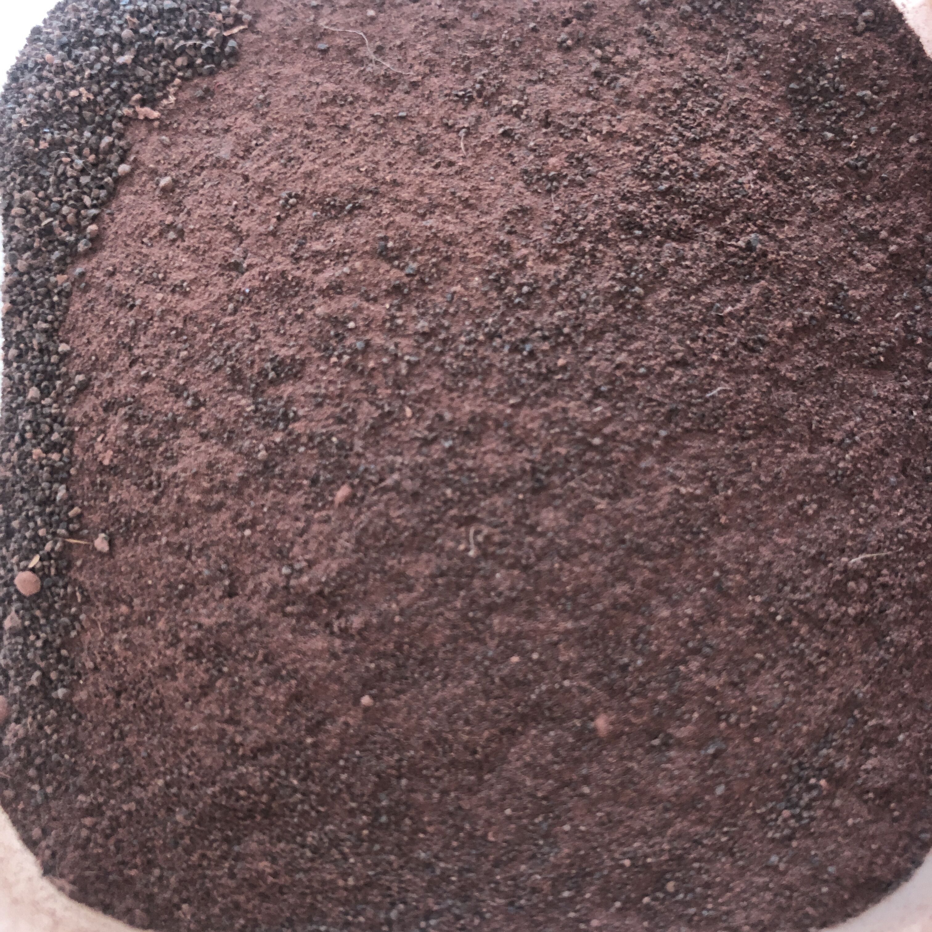 鹿心血粉多少钱 鹿心血粉的吃法和用量