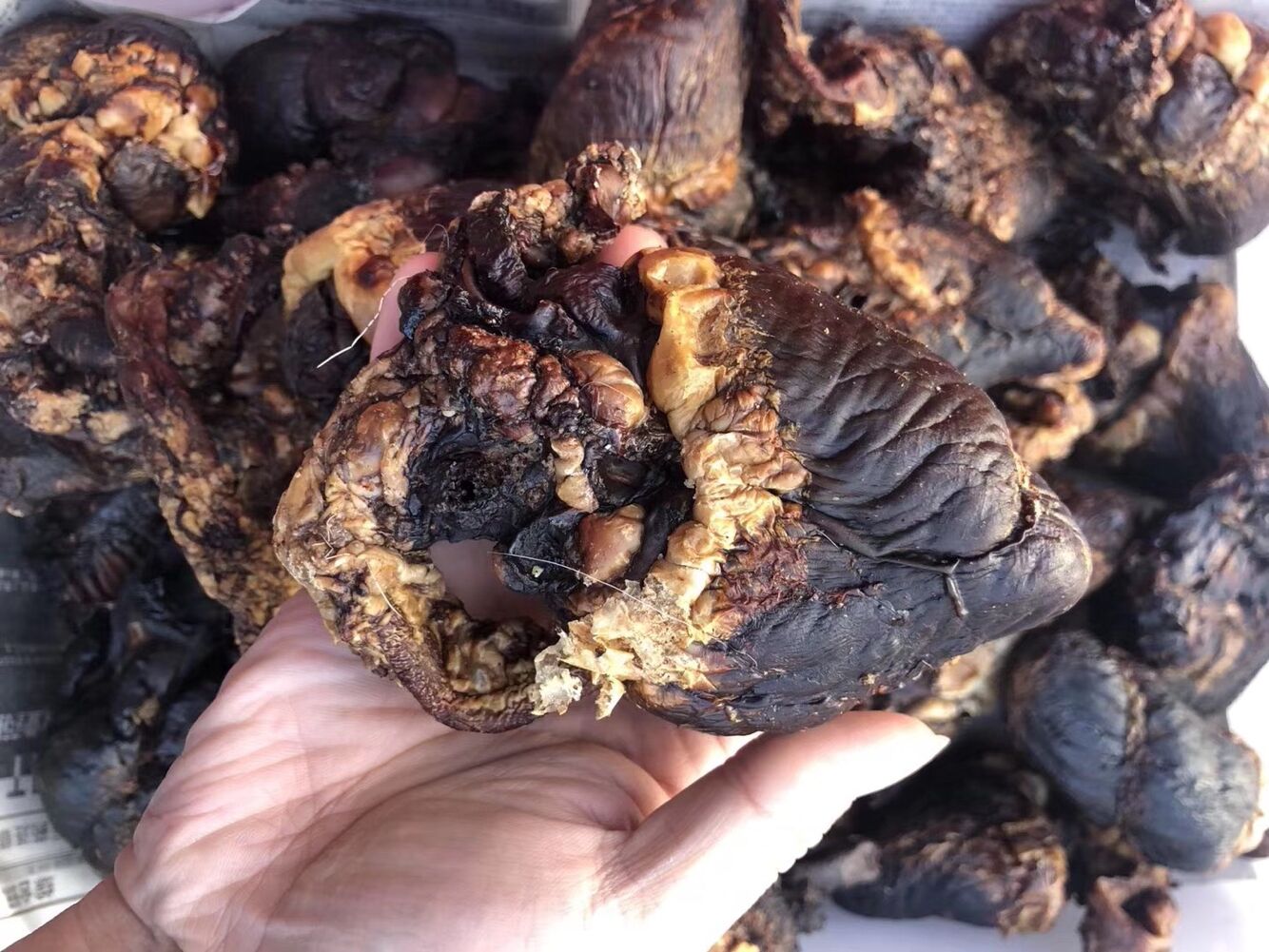 鹿心粉真的对心脏好吗，鹿心粉有副作用吗？