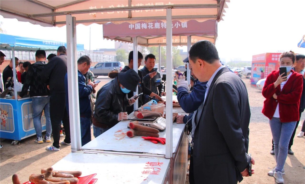 梅花鹿鹿茸危机还是机遇?新西兰三家企业结盟以开发中国鹿茸市场!