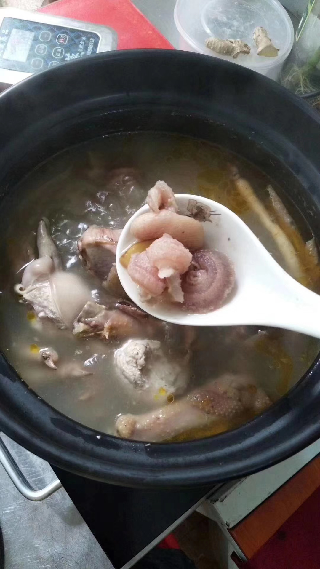 柒兔养生教你鹿鞭壮阳汤的做法！