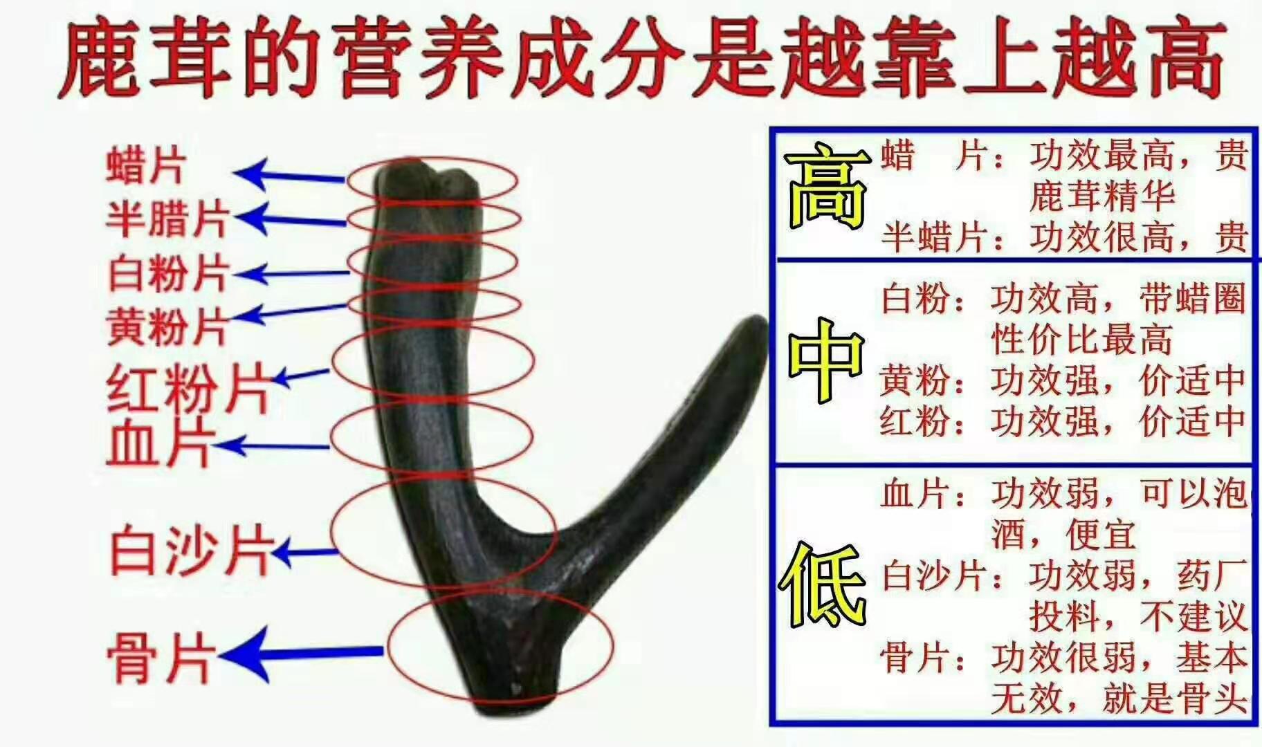最不流失鹿茸营养的6种吃法,你知道几个?