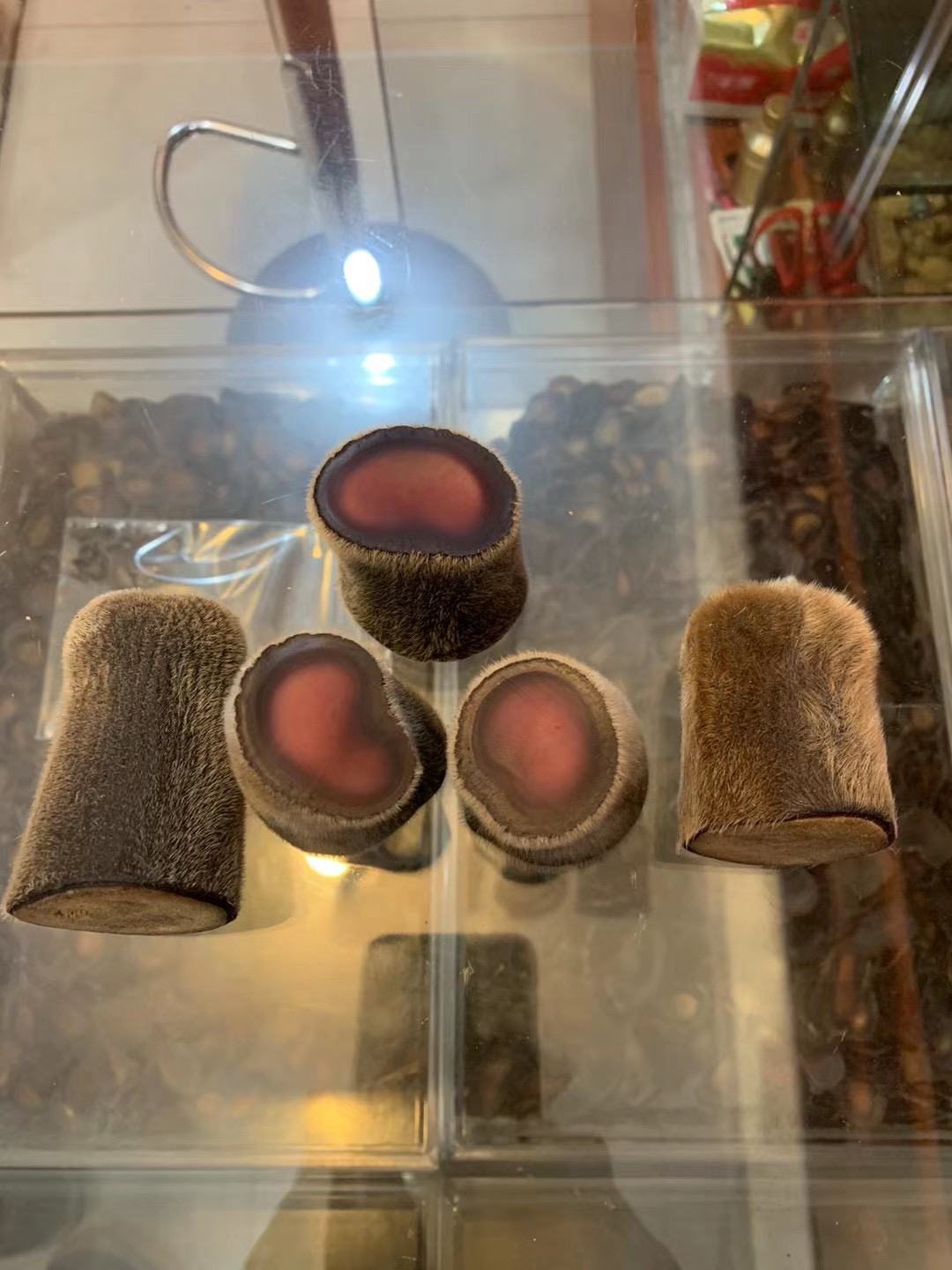 鹿茸不适合人群,什么人不能吃鹿茸!