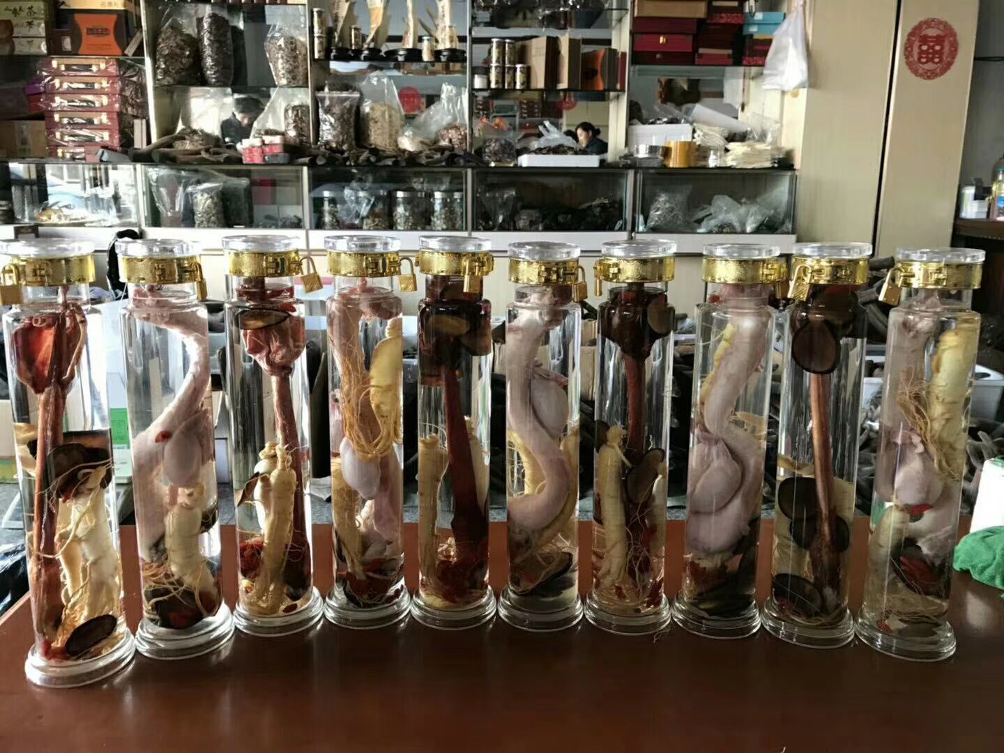 自己泡的鹿茸酒,鹿茸血酒,鹿鞭酒到底能放多久?