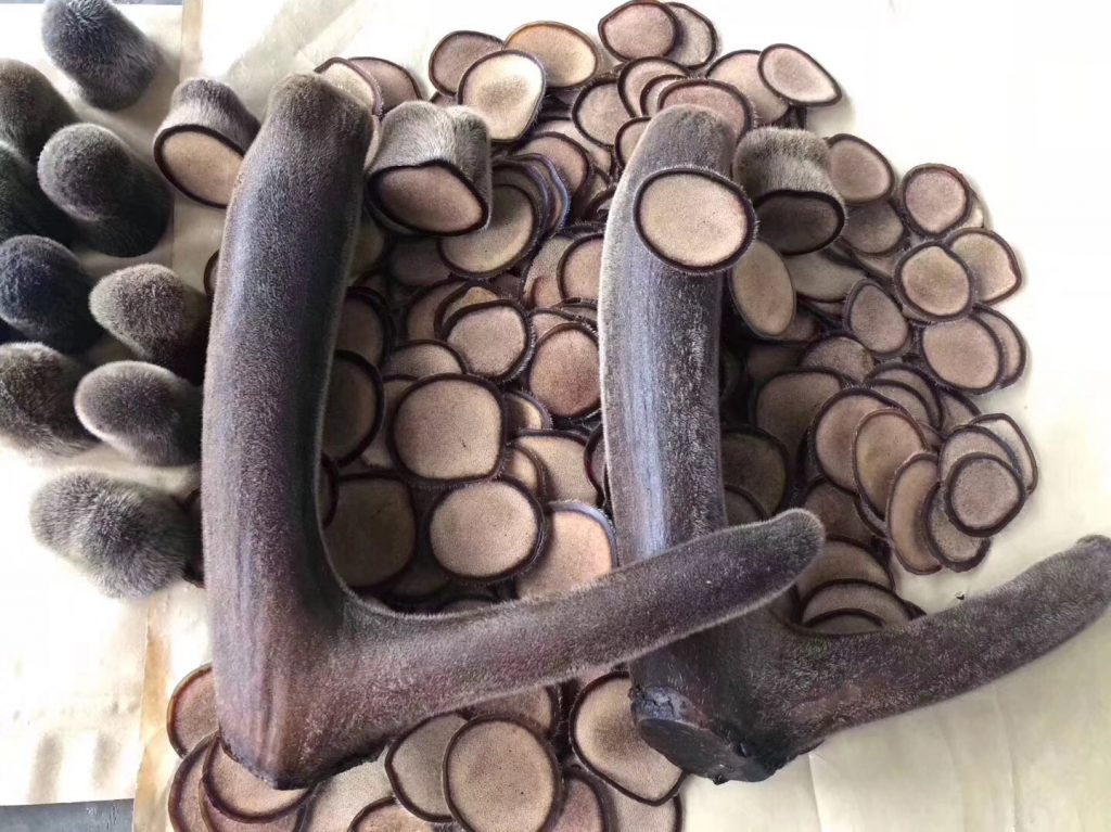 鹿茸粉和鹿茸片哪个好