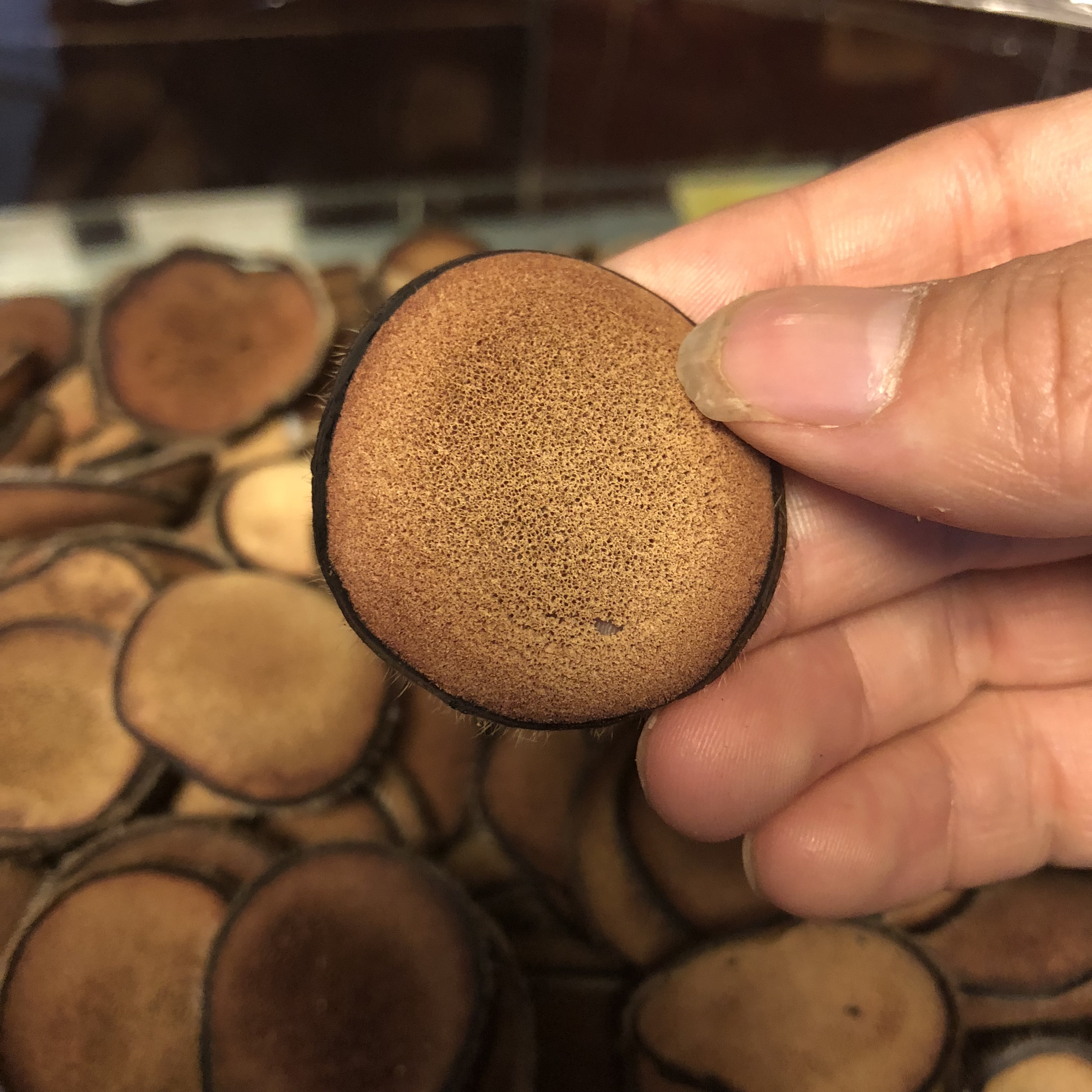 鹿茸是鲜的好，还是干的好，是切片的好还是整枝好！