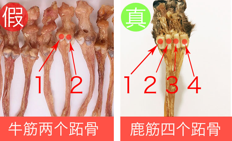 牛筋冒充鹿筋