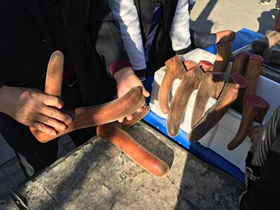 市场上卖的一根鹿鞭多少钱?