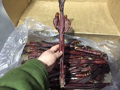 喝双阳鹿乡鹿鞭酒后的真实感受是什么