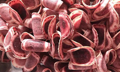 鹿茸片浸泡多久,东北鹿茸片浸泡多久最好,带你了解鹿茸片浸泡多久