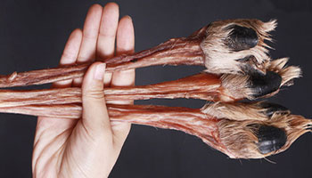 久患风湿、关节痛柒兔养生有妙招快快吃鹿筋!