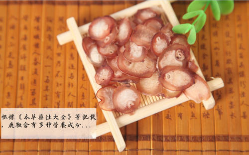 鹿鞭可以泡水喝吗?