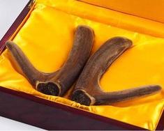 鹿茸的吃法很多,这3种情况不适合吃鹿茸!