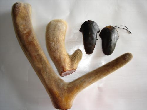 女人吃鹿茸有什么功效 女人吃茸应注意什么