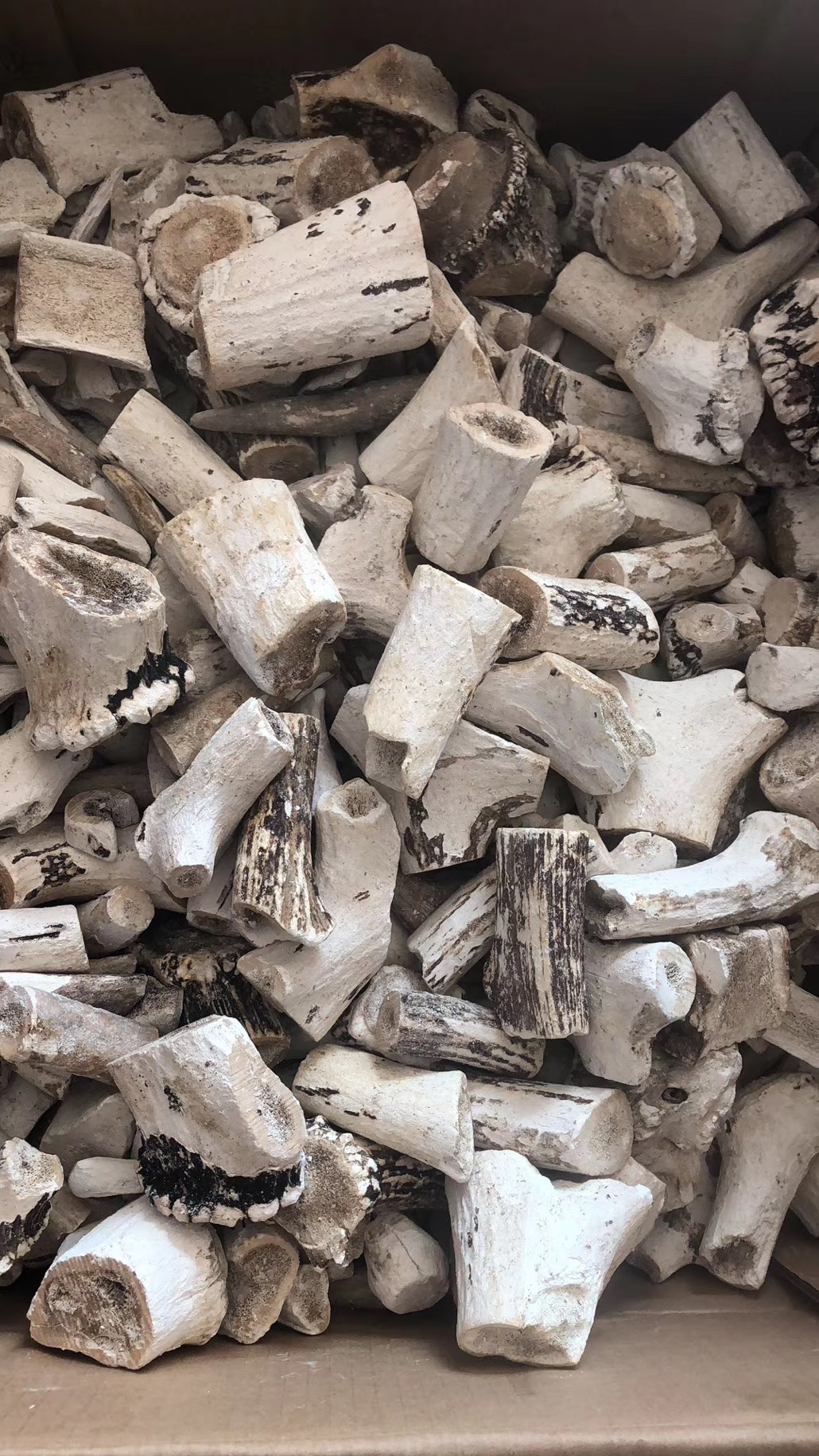 什么是鹿角霜有什么作用?