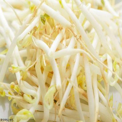 男人包茎手术后可以吃豆芽豆腐吗