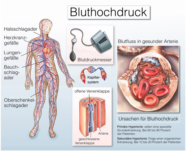 阴茎硬不起来的原因