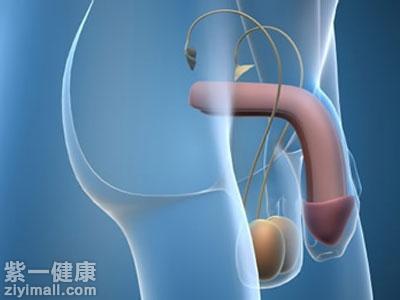 金戈能直接在药店买吗 金戈可长期服用吗