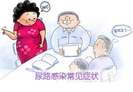 精索静脉曲张有哪些危害 男性不可不知的4大危害