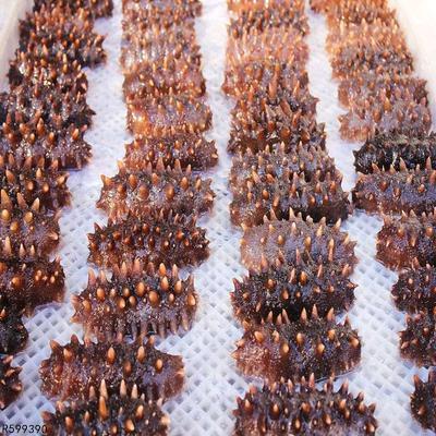 男人死精吃什么调理好