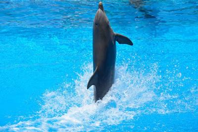 如何治细菌性前列腺炎