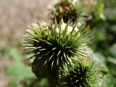 前列腺肥大要调理多久 3个方法可促进前列腺肥大恢复