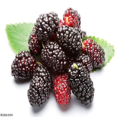 吃桑葚对于前列腺增生好吗